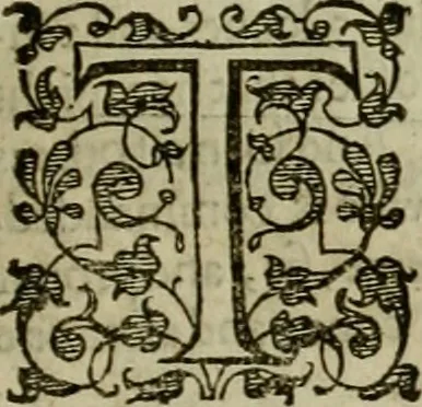 An illustration from A tracte containing the artes of curious paintinge, caruinge & buildinge, 1598, leaf 188