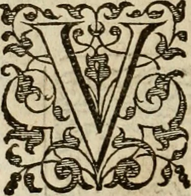 An illustration from A tracte containing the artes of curious paintinge, caruinge & buildinge, 1598, leaf 193