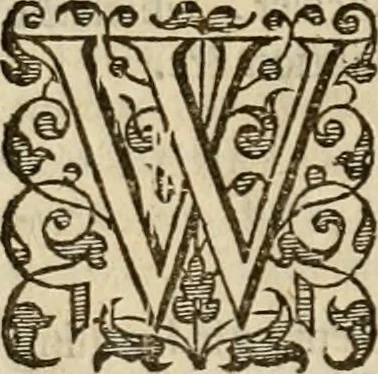 An illustration from A tracte containing the artes of curious paintinge, caruinge & buildinge, 1598, leaf 203