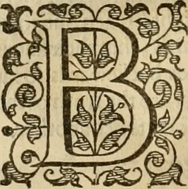 An illustration from A tracte containing the artes of curious paintinge, caruinge & buildinge, 1598, leaf 221