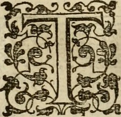 An illustration from A tracte containing the artes of curious paintinge, caruinge & buildinge, 1598, leaf 227