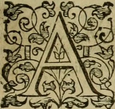 An illustration from A tracte containing the artes of curious paintinge, caruinge & buildinge, 1598, leaf 230