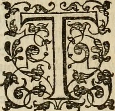 An illustration from A tracte containing the artes of curious paintinge, caruinge & buildinge, 1598, leaf 235
