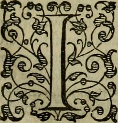 An illustration from A tracte containing the artes of curious paintinge, caruinge & buildinge, 1598, leaf 240