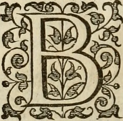 An illustration from A tracte containing the artes of curious paintinge, caruinge & buildinge, 1598, leaf 243