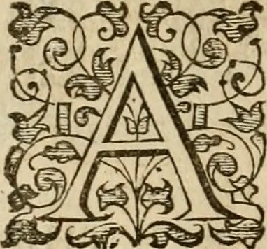 An illustration from A tracte containing the artes of curious paintinge, caruinge & buildinge, 1598, leaf 245