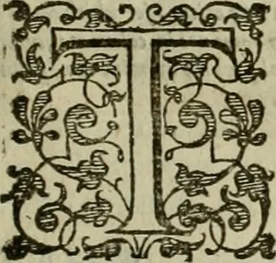 An illustration from A tracte containing the artes of curious paintinge, caruinge & buildinge, 1598, leaf 246