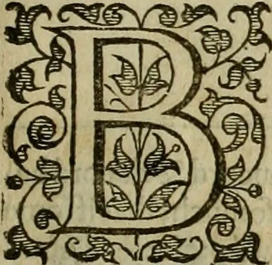 An illustration from A tracte containing the artes of curious paintinge, caruinge & buildinge, 1598, leaf 248