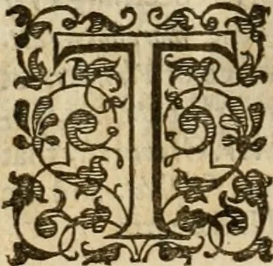 An illustration from A tracte containing the artes of curious paintinge, caruinge & buildinge, 1598, leaf 249