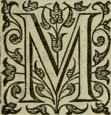 An illustration from A tracte containing the artes of curious paintinge, caruinge & buildinge, 1598, leaf 252