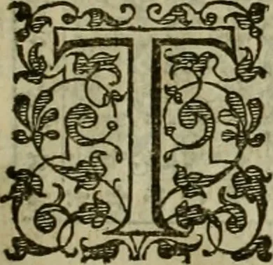 An illustration from A tracte containing the artes of curious paintinge, caruinge & buildinge, 1598, leaf 260