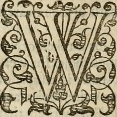 An illustration from A tracte containing the artes of curious paintinge, caruinge & buildinge, 1598, leaf 261