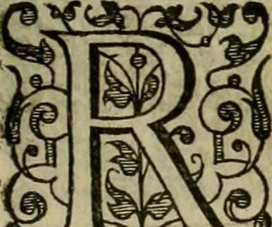 An illustration from A tracte containing the artes of curious paintinge, caruinge & buildinge, 1598, leaf 264