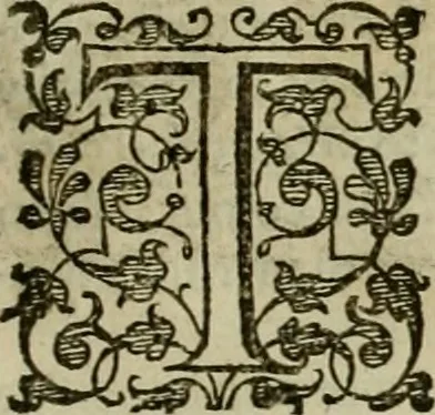 An illustration from A tracte containing the artes of curious paintinge, caruinge & buildinge, 1598, leaf 266