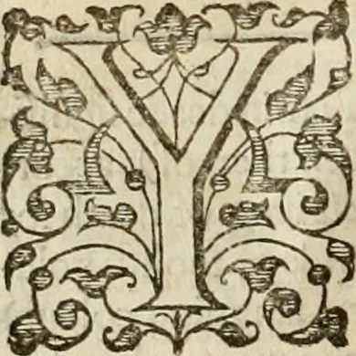 An illustration from A tracte containing the artes of curious paintinge, caruinge & buildinge, 1598, leaf 267