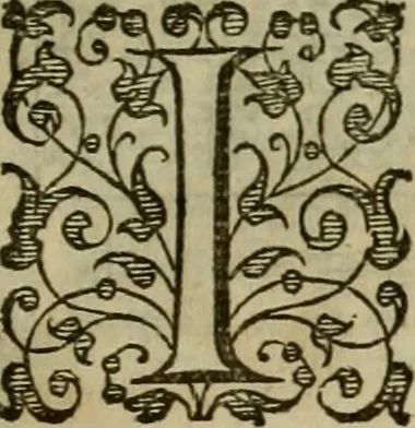 An illustration from A tracte containing the artes of curious paintinge, caruinge & buildinge, 1598, leaf 268