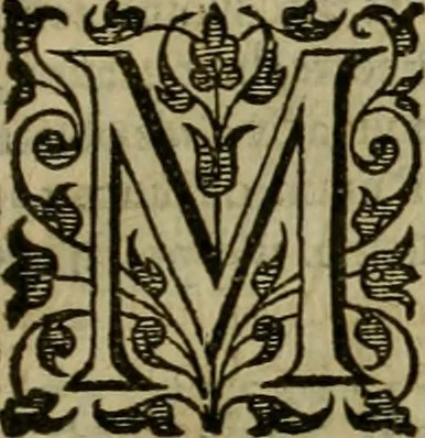 An illustration from A tracte containing the artes of curious paintinge, caruinge & buildinge, 1598, leaf 272