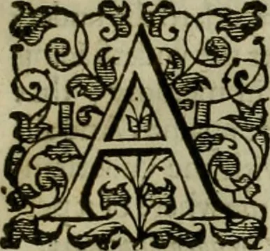 An illustration from A tracte containing the artes of curious paintinge, caruinge & buildinge, 1598, leaf 28