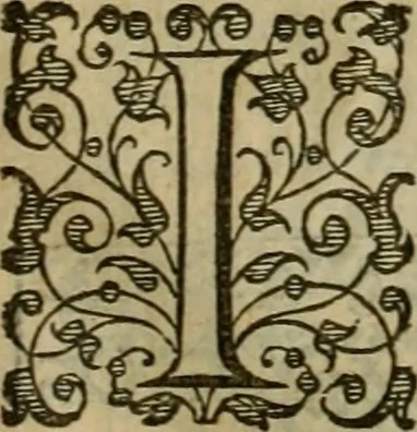 An illustration from A tracte containing the artes of curious paintinge, caruinge & buildinge, 1598, leaf 284