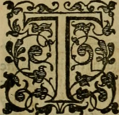 An illustration from A tracte containing the artes of curious paintinge, caruinge & buildinge, 1598, leaf 290