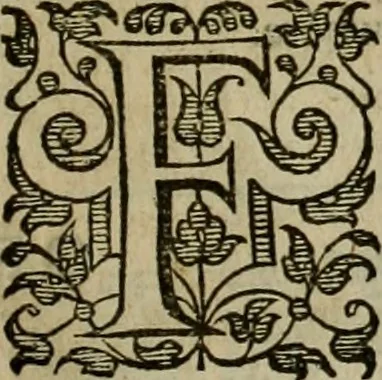 An illustration from A tracte containing the artes of curious paintinge, caruinge & buildinge, 1598, leaf 294