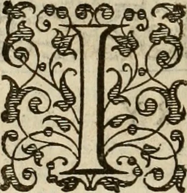 An illustration from A tracte containing the artes of curious paintinge, caruinge & buildinge, 1598, leaf 295