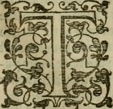 An illustration from A tracte containing the artes of curious paintinge, caruinge & buildinge, 1598, leaf 296