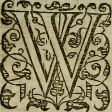An illustration from A tracte containing the artes of curious paintinge, caruinge & buildinge, 1598, leaf 304