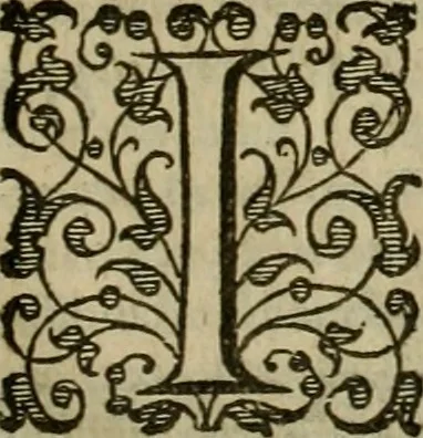 An illustration from A tracte containing the artes of curious paintinge, caruinge & buildinge, 1598, leaf 306