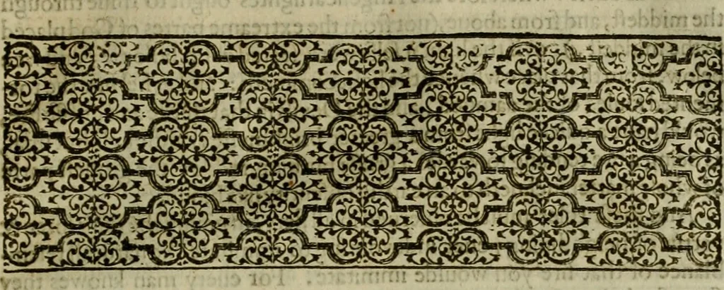 An illustration from A tracte containing the artes of curious paintinge, caruinge & buildinge, 1598, leaf 308