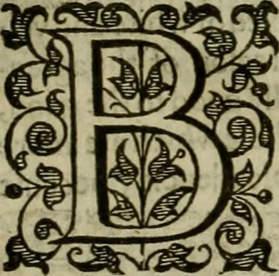 An illustration from A tracte containing the artes of curious paintinge, caruinge & buildinge, 1598, leaf 310