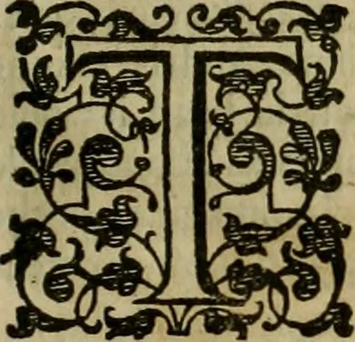 An illustration from A tracte containing the artes of curious paintinge, caruinge & buildinge, 1598, leaf 316