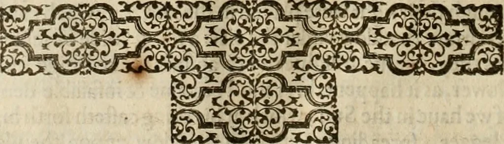 An illustration from A tracte containing the artes of curious paintinge, caruinge & buildinge, 1598, leaf 319