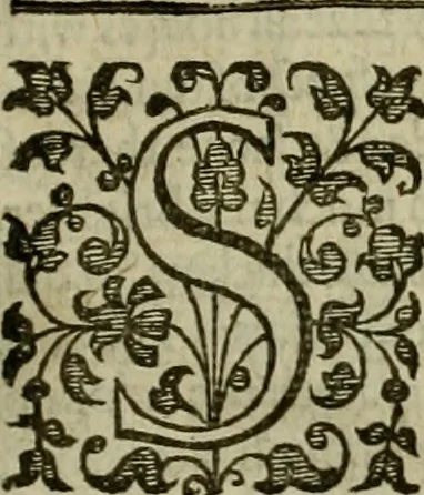 An illustration from A tracte containing the artes of curious paintinge, caruinge & buildinge, 1598, leaf 320