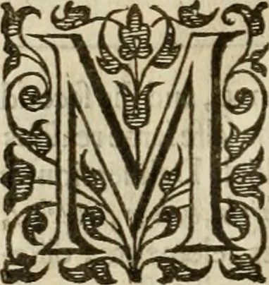 An illustration from A tracte containing the artes of curious paintinge, caruinge & buildinge, 1598, leaf 321