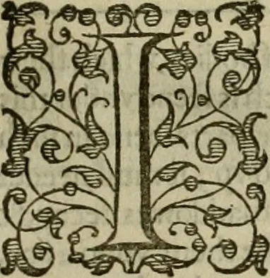 An illustration from A tracte containing the artes of curious paintinge, caruinge & buildinge, 1598, leaf 322