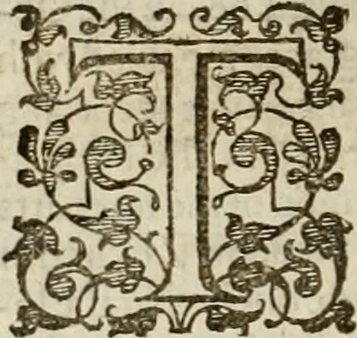 An illustration from A tracte containing the artes of curious paintinge, caruinge & buildinge, 1598, leaf 323