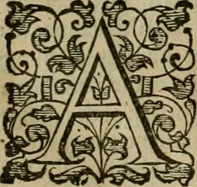 An illustration from A tracte containing the artes of curious paintinge, caruinge & buildinge, 1598, leaf 326