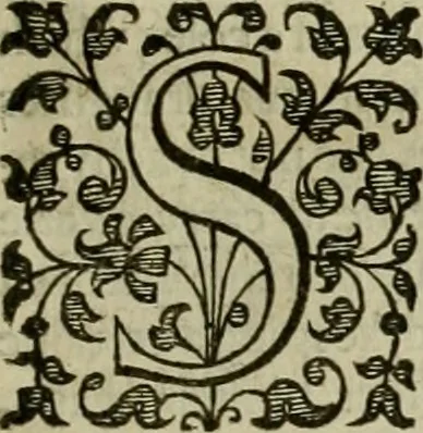 An illustration from A tracte containing the artes of curious paintinge, caruinge & buildinge, 1598, leaf 332