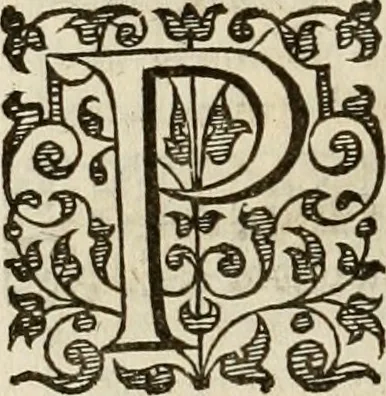 An illustration from A tracte containing the artes of curious paintinge, caruinge & buildinge, 1598, leaf 335