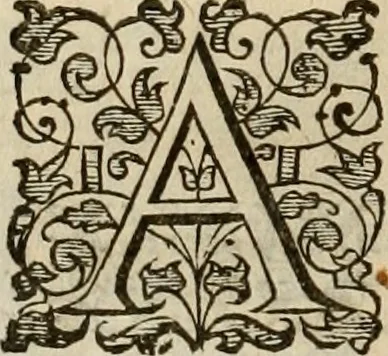 An illustration from A tracte containing the artes of curious paintinge, caruinge & buildinge, 1598, leaf 339