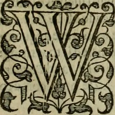 An illustration from A tracte containing the artes of curious paintinge, caruinge & buildinge, 1598, leaf 346