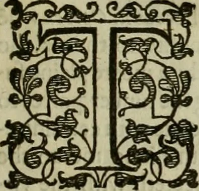 An illustration from A tracte containing the artes of curious paintinge, caruinge & buildinge, 1598, leaf 352