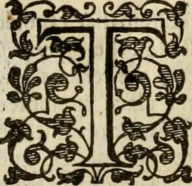 An illustration from A tracte containing the artes of curious paintinge, caruinge & buildinge, 1598, leaf 355