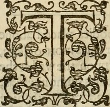 An illustration from A tracte containing the artes of curious paintinge, caruinge & buildinge, 1598, leaf 357