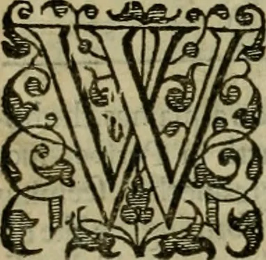 An illustration from A tracte containing the artes of curious paintinge, caruinge & buildinge, 1598, leaf 358