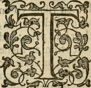 An illustration from A tracte containing the artes of curious paintinge, caruinge & buildinge, 1598, leaf 359