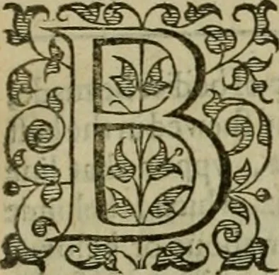 An illustration from A tracte containing the artes of curious paintinge, caruinge & buildinge, 1598, leaf 360