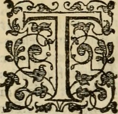 An illustration from A tracte containing the artes of curious paintinge, caruinge & buildinge, 1598, leaf 361