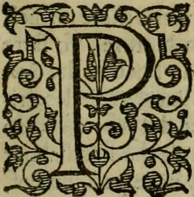 An illustration from A tracte containing the artes of curious paintinge, caruinge & buildinge, 1598, leaf 40